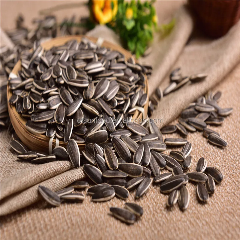 2021 new crop inner mongolia Confectionery sunflower seeds 5009