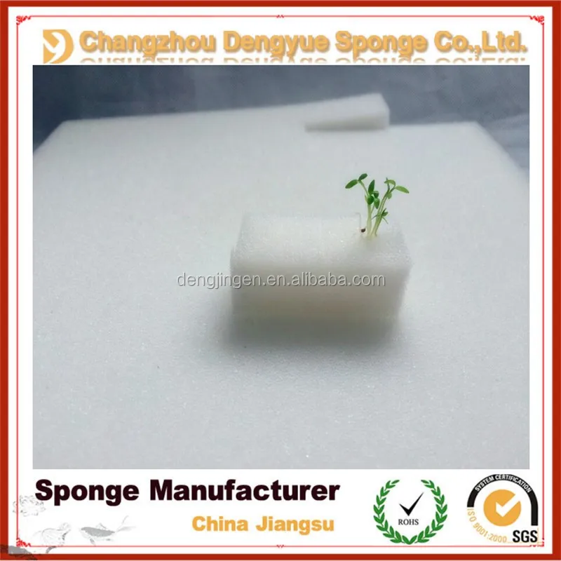 Thailand hydroponic vegetables moisture retain sowing seeds hydroponics sponge
