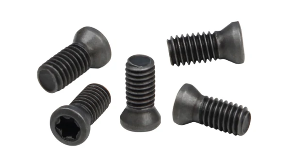 Made in China Torx Head Screw M2.5*6 torx screw