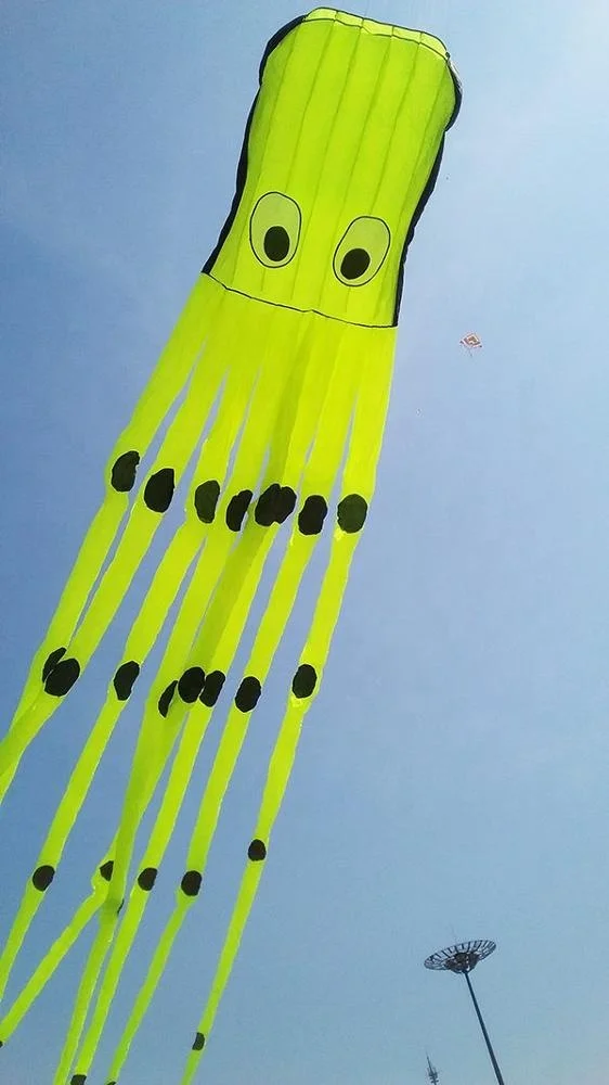 Chinese 8m flying  3D inflatable octopus big kite