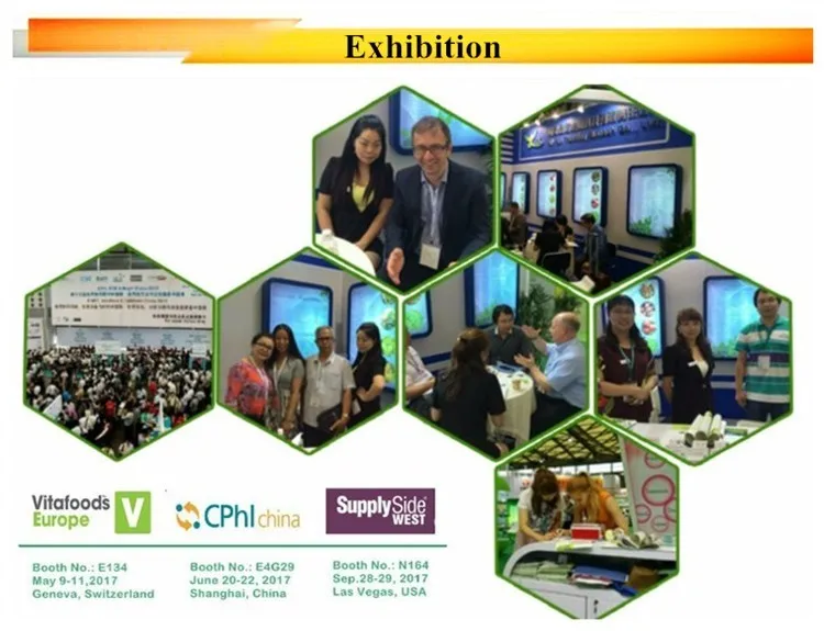 
ISO factory Astragalus Membranaceus Extract 0.3% Astragalus root extract 