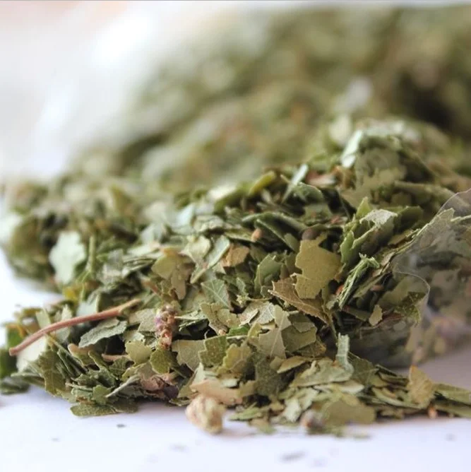 
Organic Birch Leaf Herb Tea / Air Dried Betula pendula leaf 