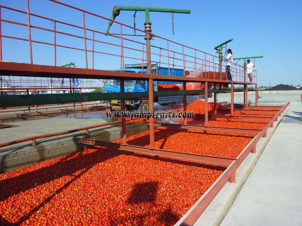 Factory price automatic canned tomato sauce fruit jam production line