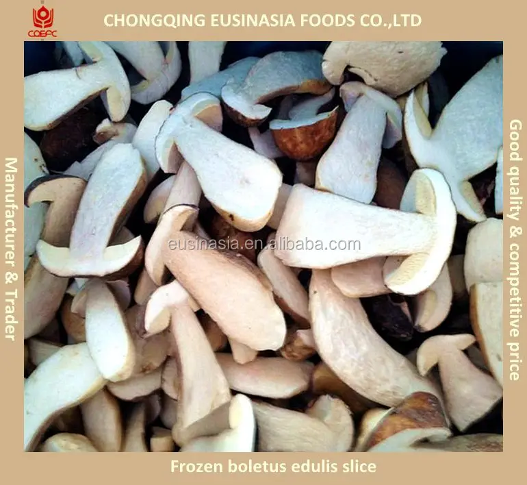 
half cut Porcini mushroom 