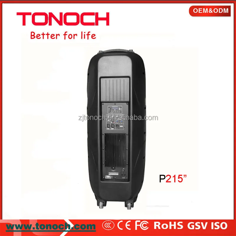 Dual 15 Inch Professional Indoor Active speaker powered speaker