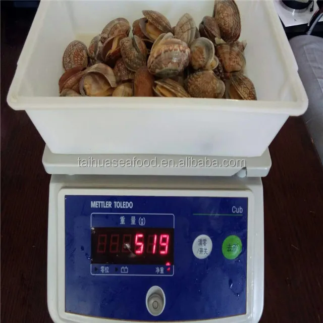 
New boiled fresh short necked clam of different size 