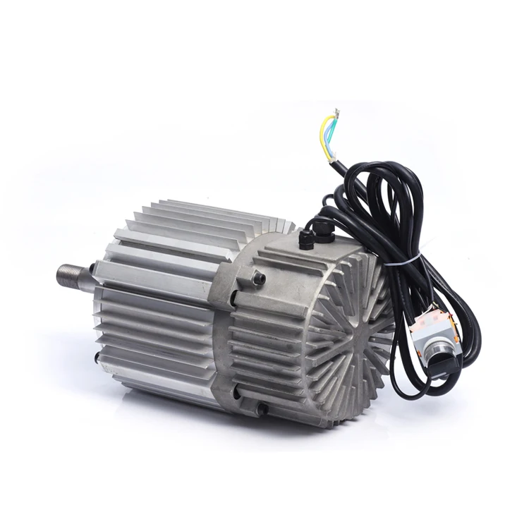 60v 48v 24v 12v 300w 350w 250w 500w 600w 1000w brushless dc motor
