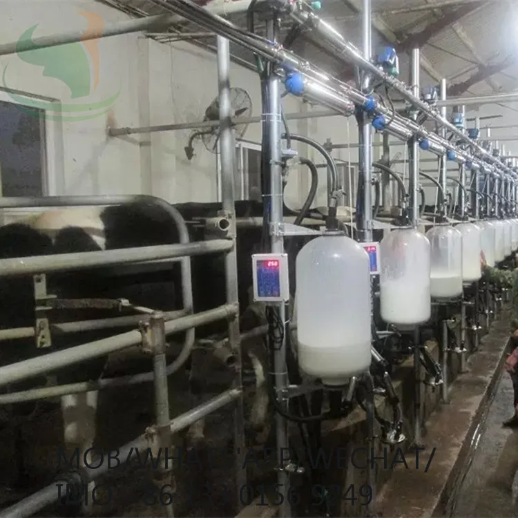 With Control Panel Automatic Cluster Remover for Fish Bone Layout COW/GOAT Milking Parlor ACR