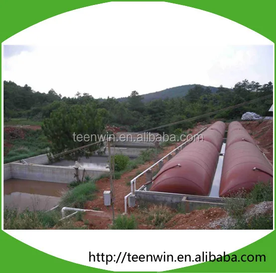 Teenwin 20m3 soft biogas/digester Plant for animal farm waste/stool treatment