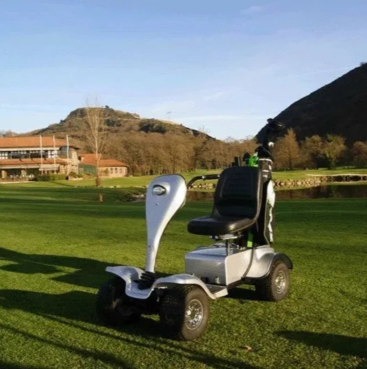 Single seat 24V 800W electric golf buggy for sale