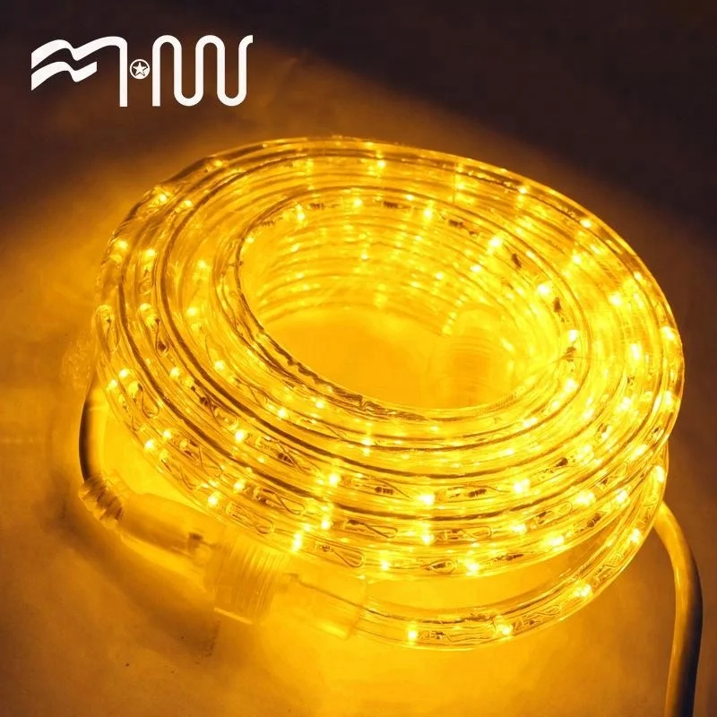 Fashion design plastic lamp led strip for sale rope light