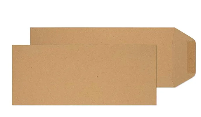 
Customized Small Rectangular Rigid Kraft Paper Money Receipt Envelope with self seal flap 