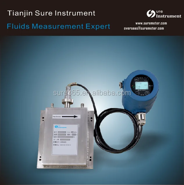 
Coriolis Mass Flow Meter/Mass Flow Sensors/Gas Mass Flow Controller 