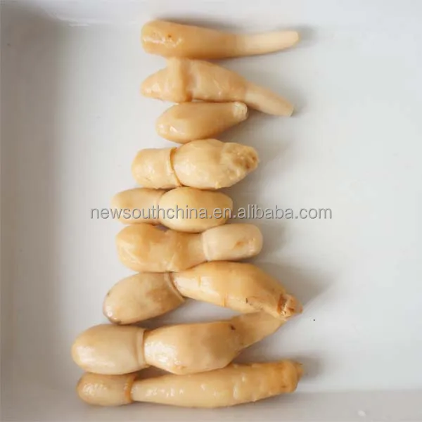 New crop canned drumstick mushroom enoki mushroom 425G