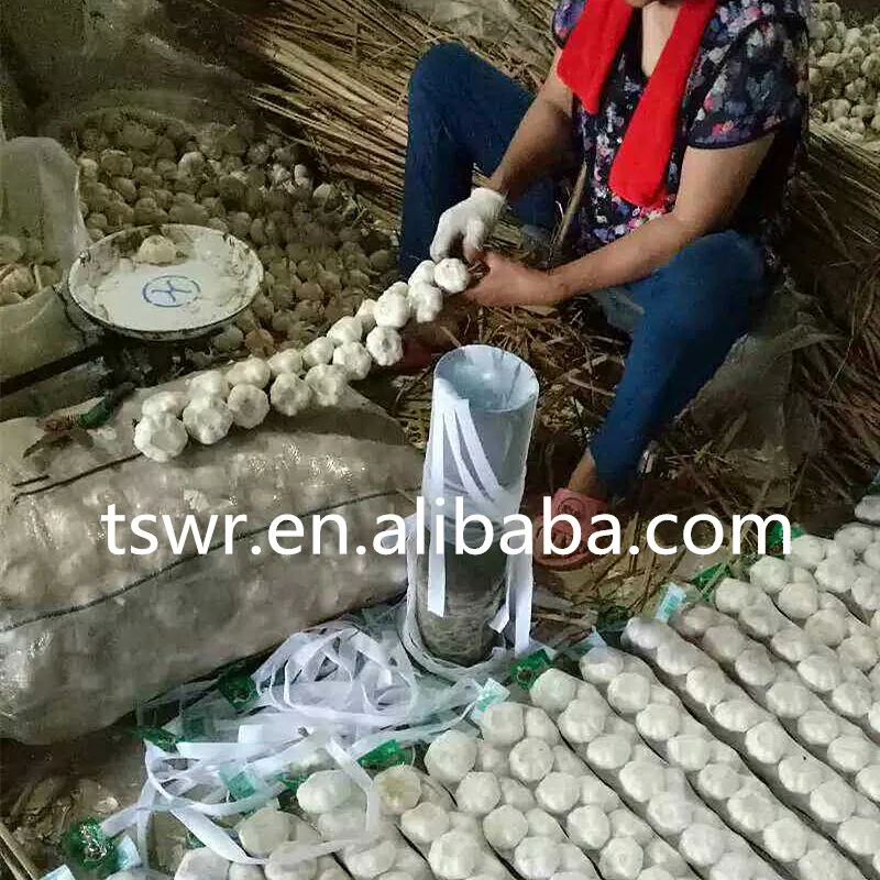 
CHINA GARLIC 2020 FRESH NORMAL WHITE GARLIC WHOLESALE 