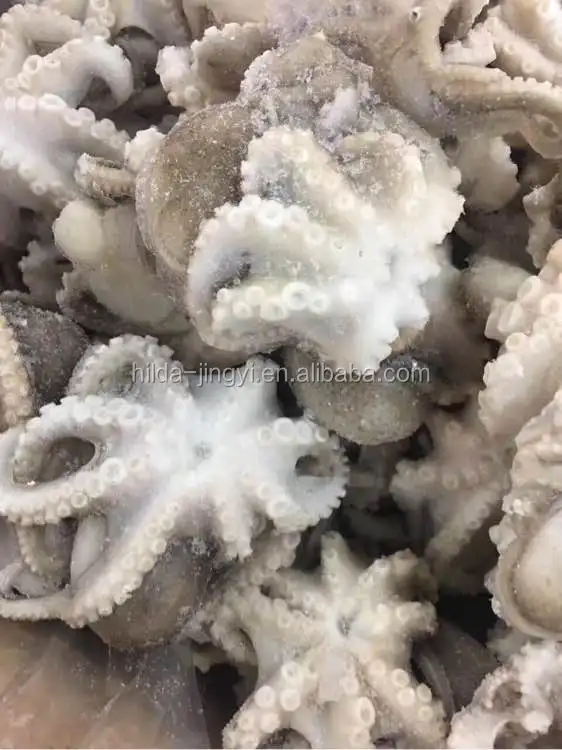 Octopus Frozen Baby Octopus Frozen Wholesale Frozen Baby Octopus