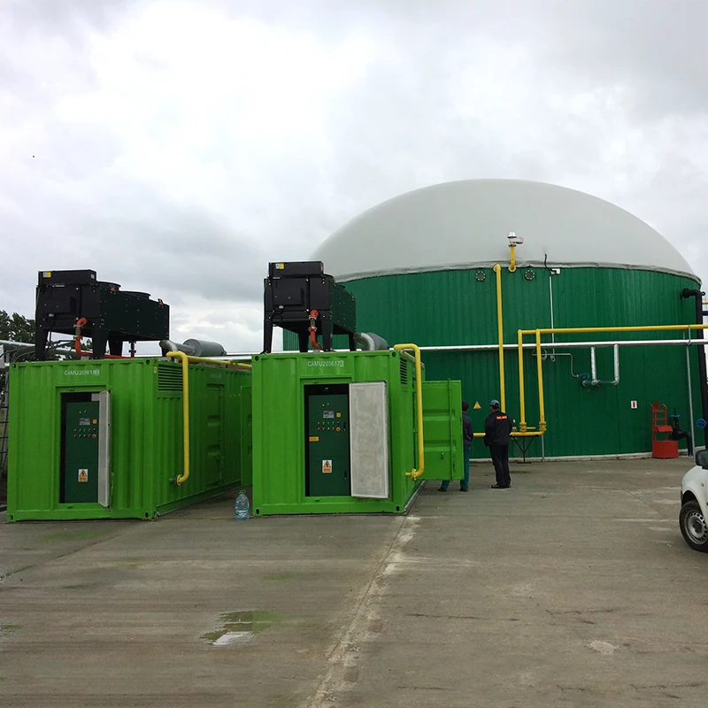 Combined heat and power biogas generator/300KW biogas generator power plant