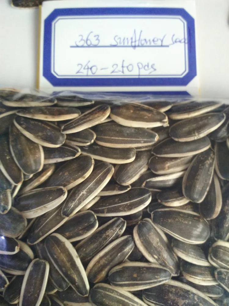 
Chinese Hot Selling New Arrival High Grade Quality Sunflower Seeds 