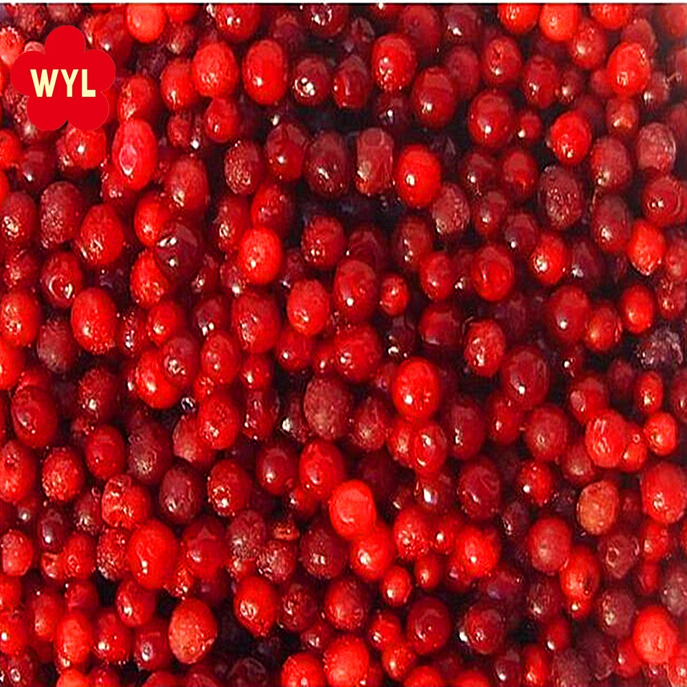 Hot Sell IQF  Frozen Lingonberry Price in Bulk IQF Frozen Fruits