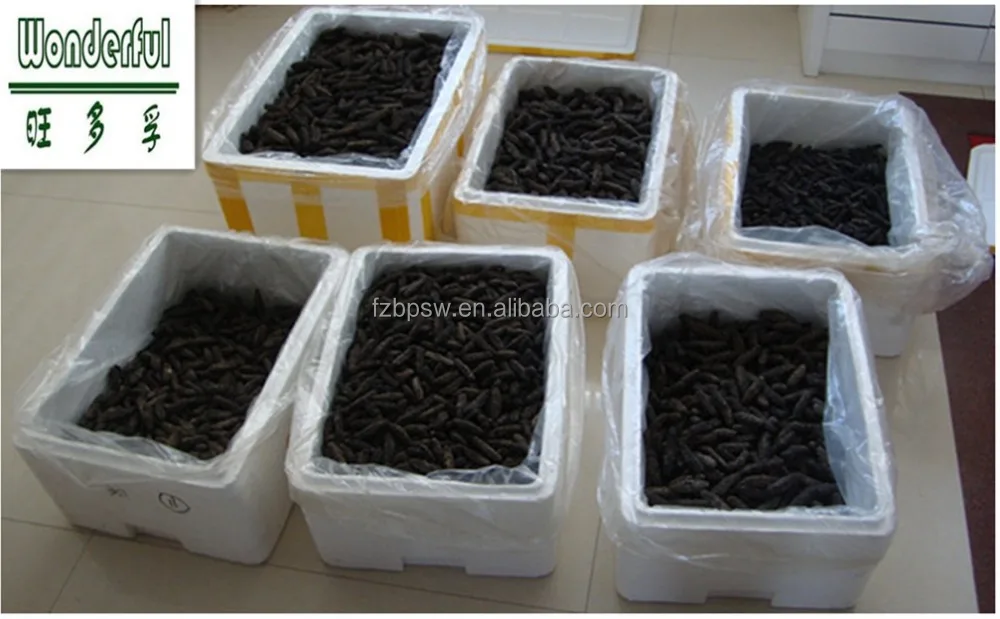 Цена на сухой морской огурец