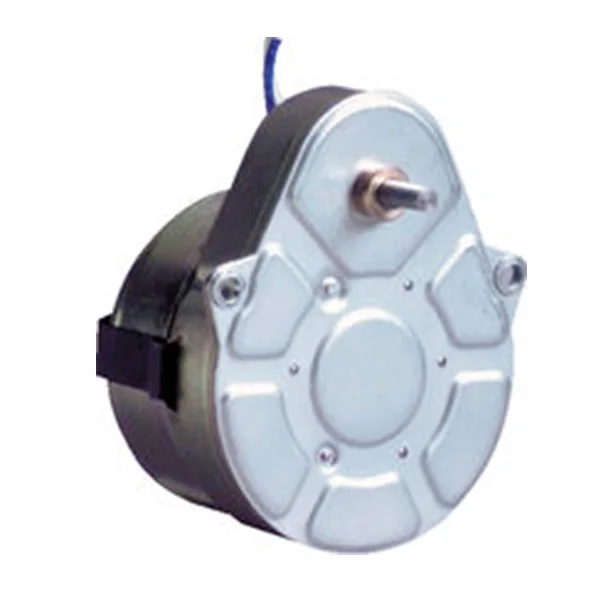 
49Tyj Synchronous Motor 
