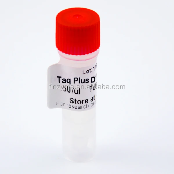 High Fidelity Taq DNA Polymerase
