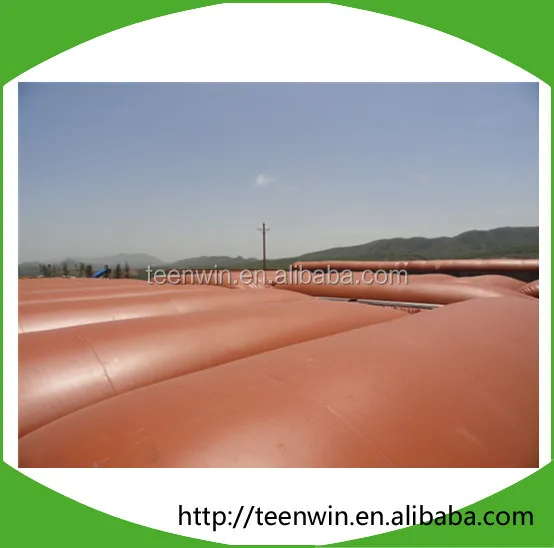 Teenwin 20m3 soft biogas/digester Plant for animal farm waste/stool treatment