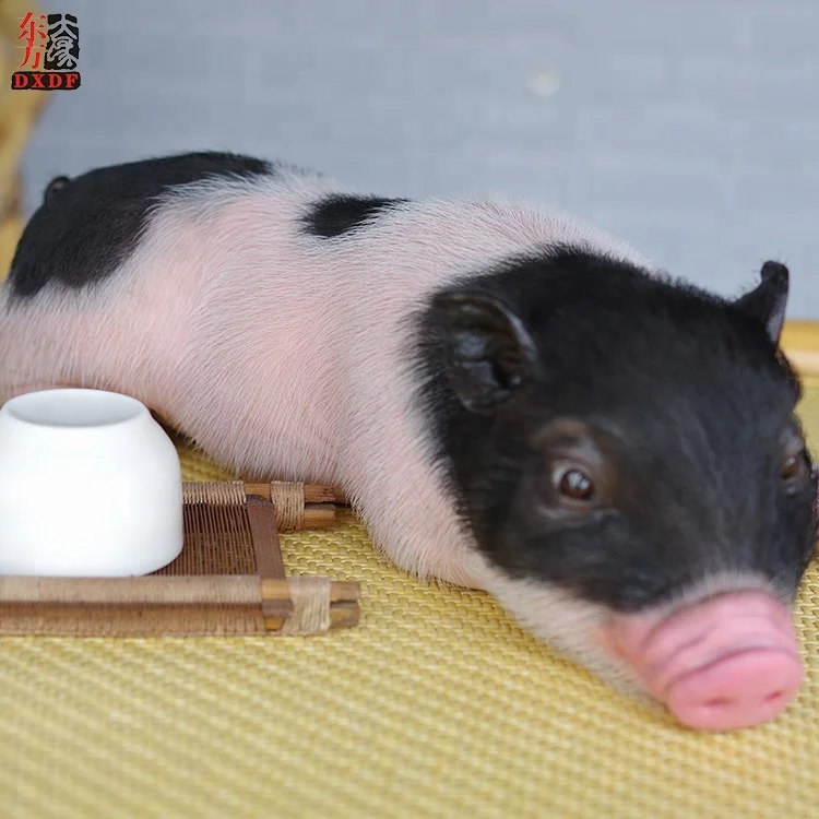 Custom Made MINI Realistic Silicone Piggy Life Size Animals Silicone Resin Sculpture for Gifts