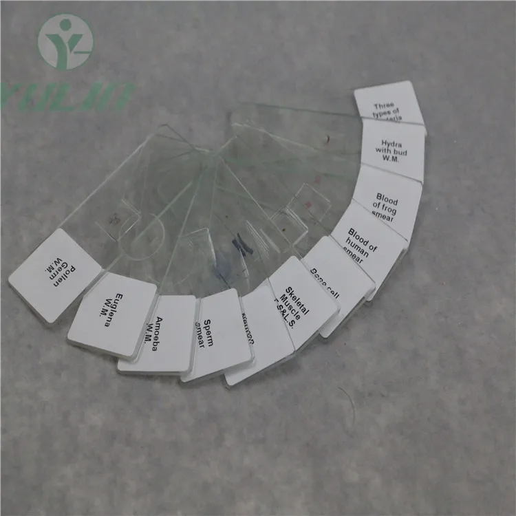 Biology Medical Science High Quality Middle School Teaching Plant and Animal Mix Set 50 Pcs Microscope Prepared Slides