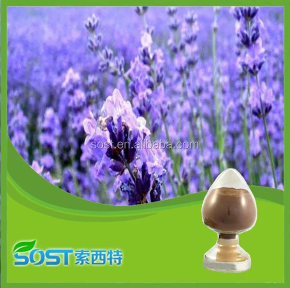 
SOST China Supplier Best Price Ethyl Vanillin Powder 