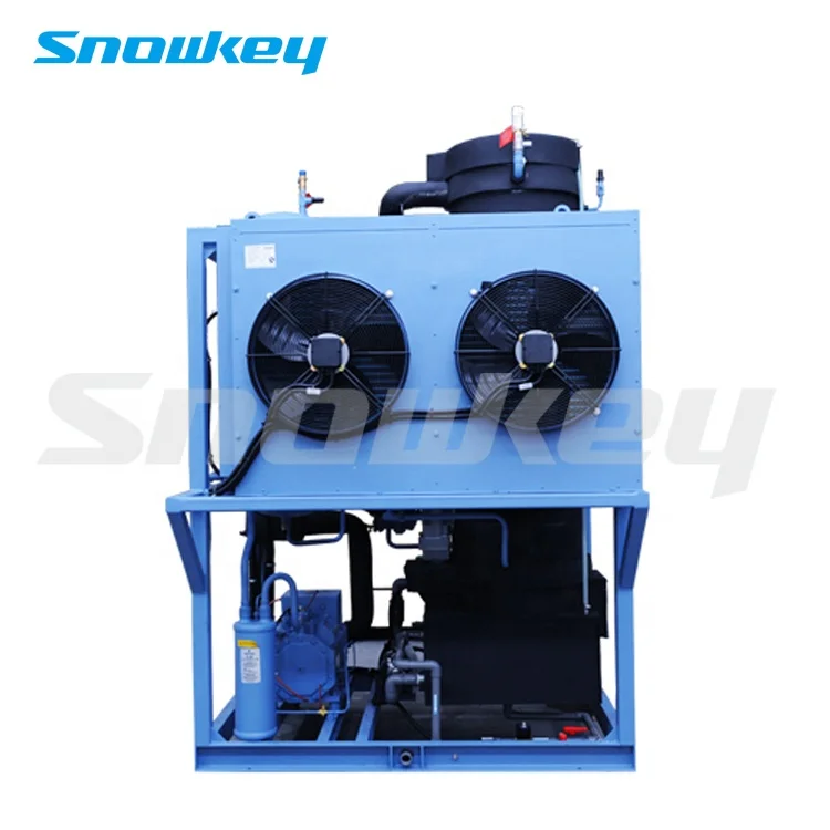 Snowkey Design Ice Tube Machine 3 Ton Philippines