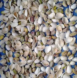 mini smaller pistachios color sorter for sorting different colors of the pistachios