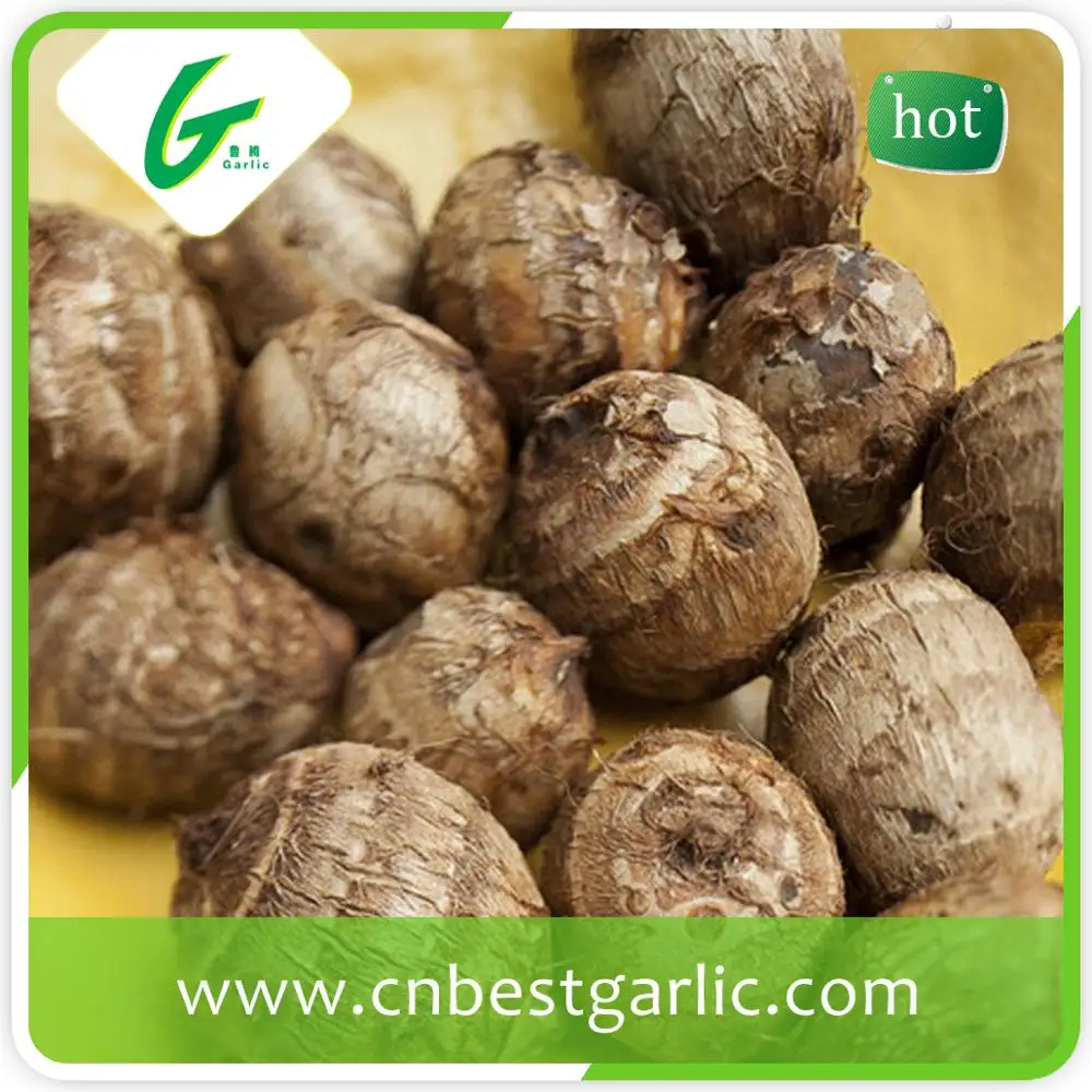 Большой свежий таро цена