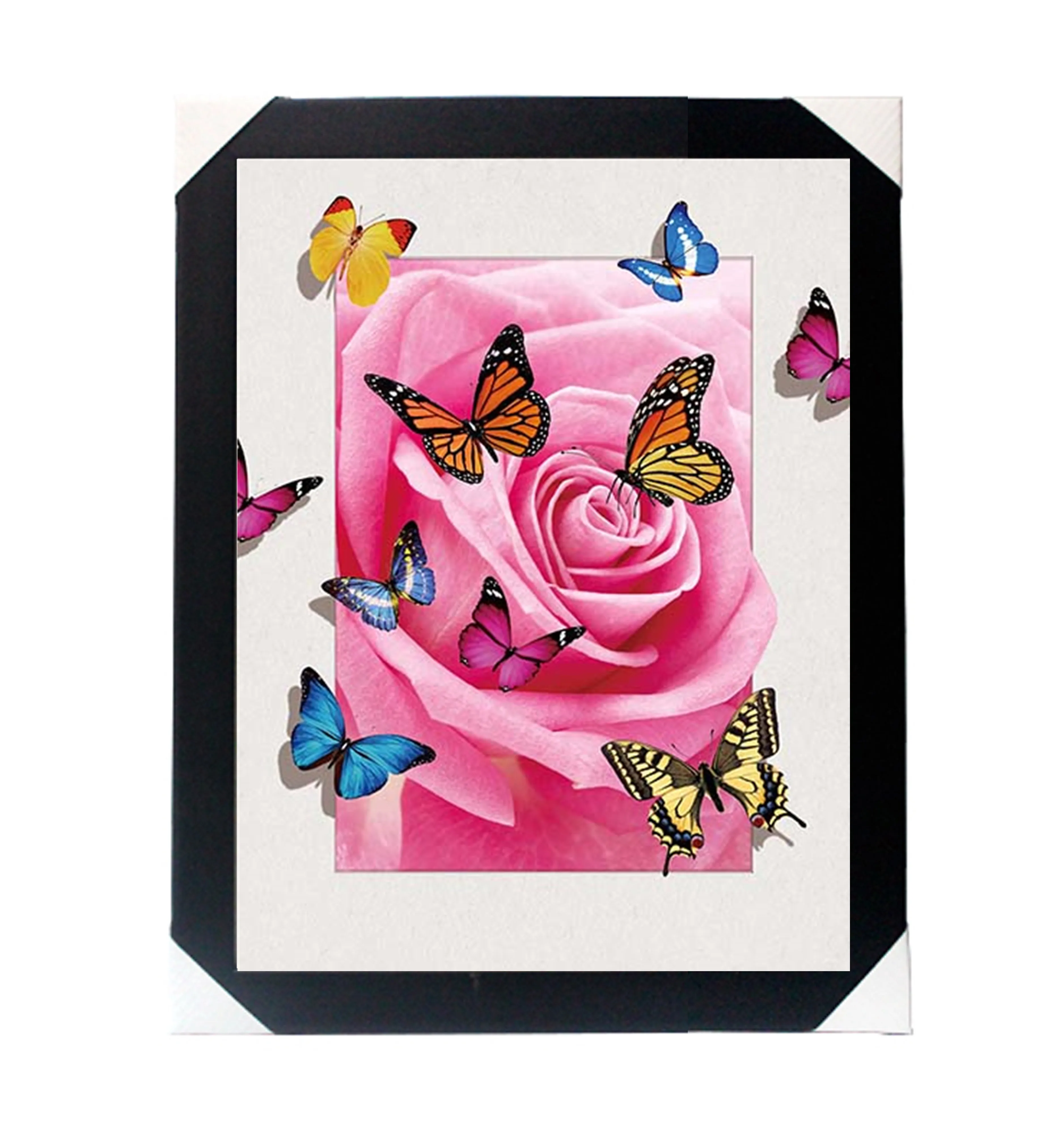 
lenticular printing 5d picture of butterfly  (62024455765)
