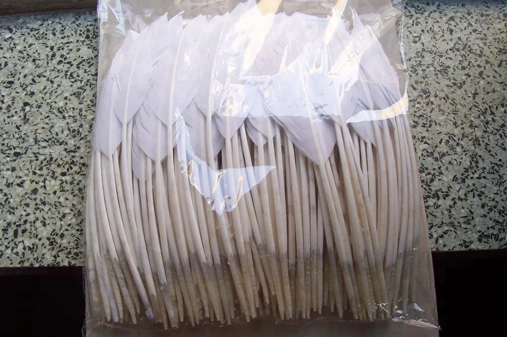 Turkey feather arrowhead