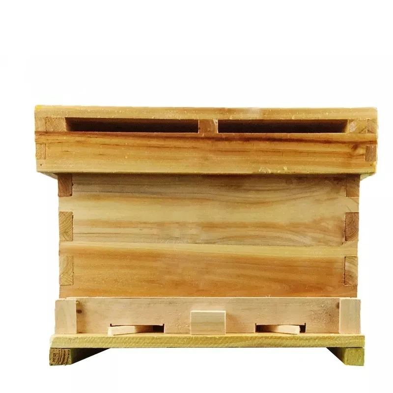 
Ten framed Cunninghamia Cunninghamia Cunninghamia beehives 