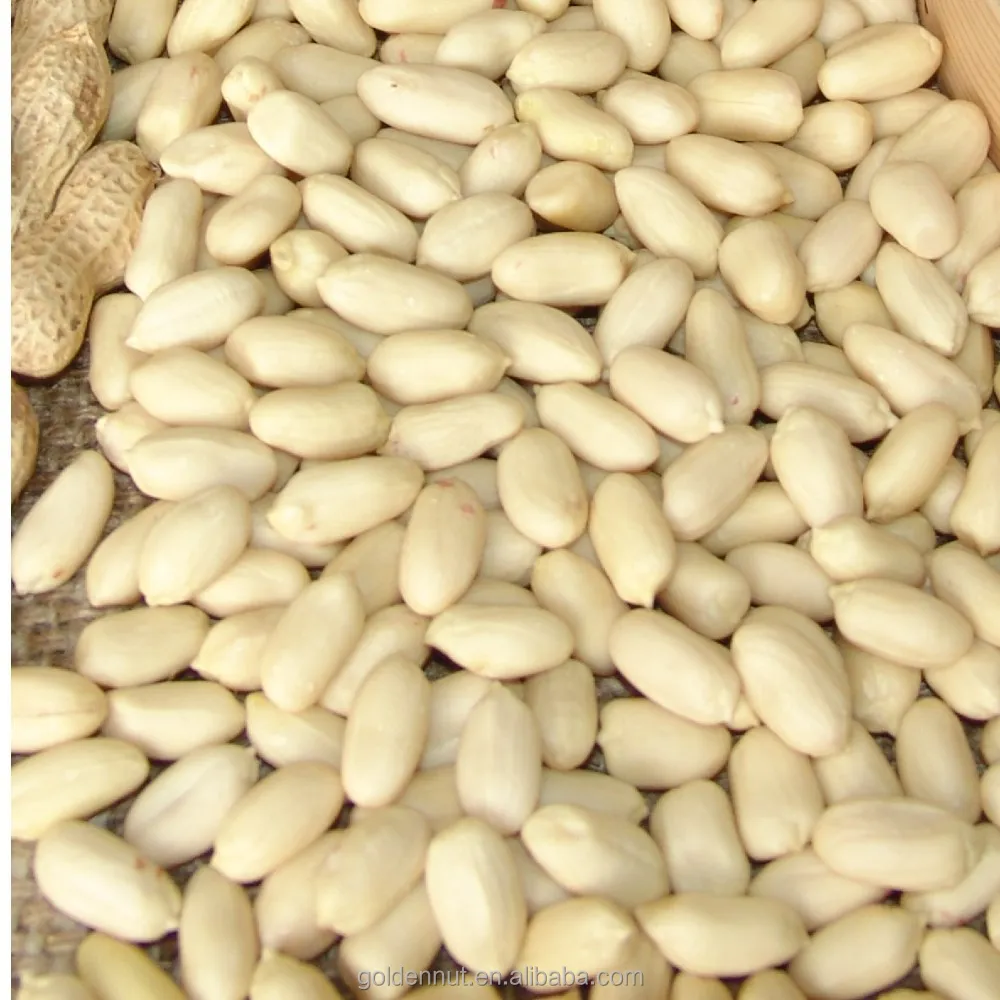 Blanched Peanut kernel