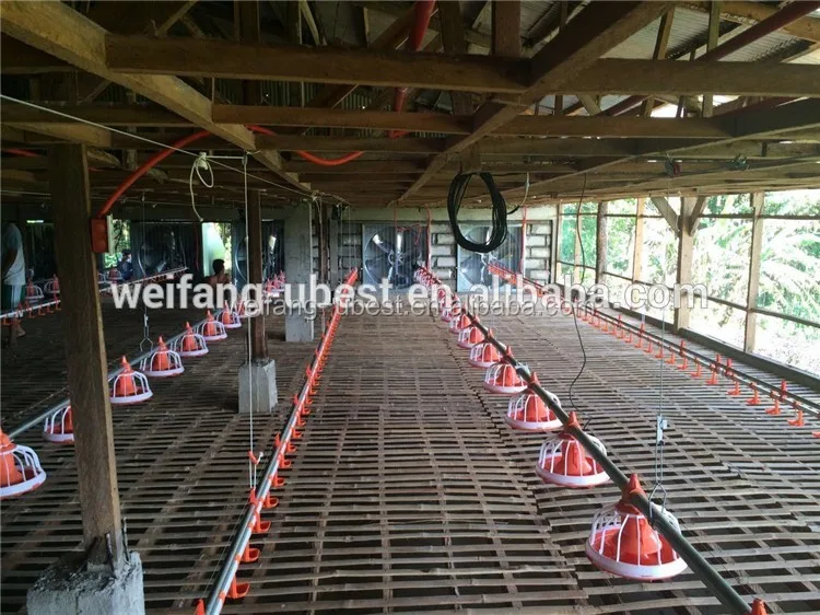 Philippine Automatic Tunnel Low Price Control Broiler System Ventilation Chicken Poultry Shed House