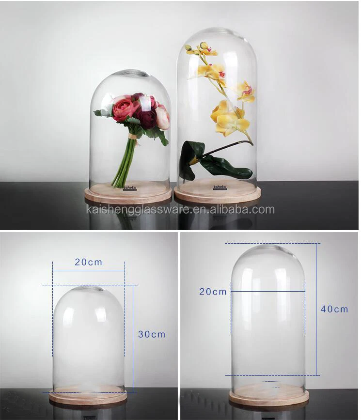 Home decoration clear glass bell jar with base wooden