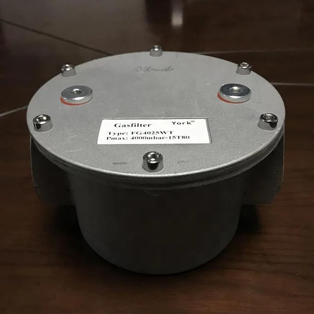 1 inch lpg gas fuel filter for gas system or combustion system