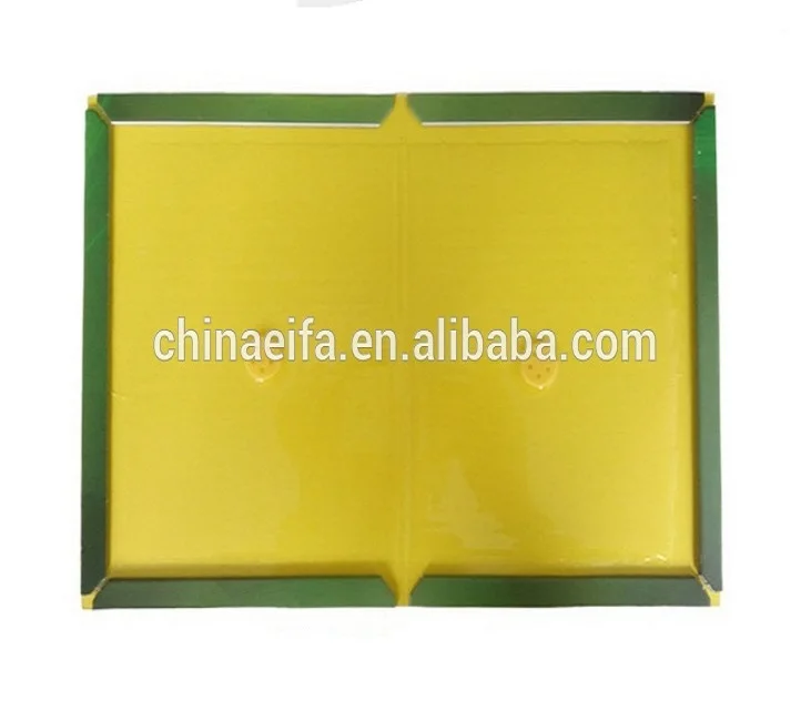 
Good reputation high quality mouse rat sticky mice glue board trap for stick mice 