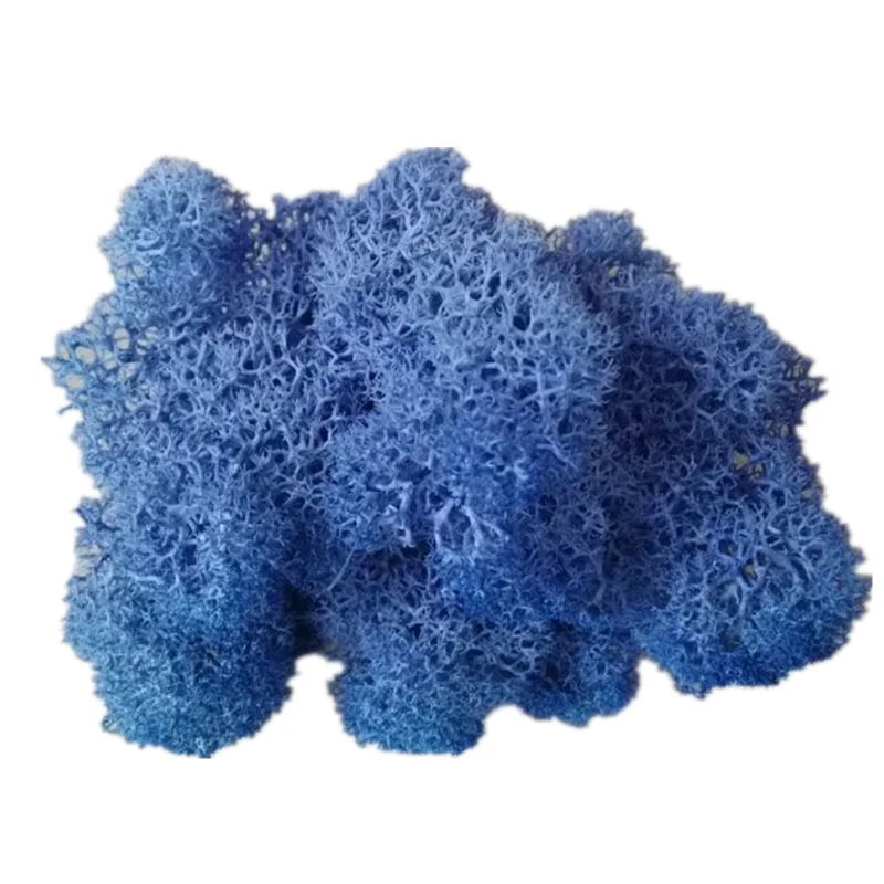 
500g Big Package Preserved Moss Wholesale From China Use To Make Moss Wall 