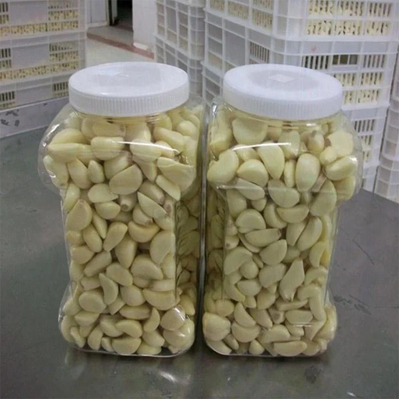
factory supply 100% Fresh Peeled Garlic with high quality and best price 