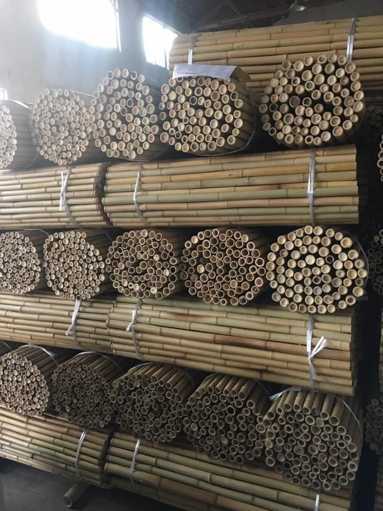 FD Wholesale straight bamboo poles/building construction material