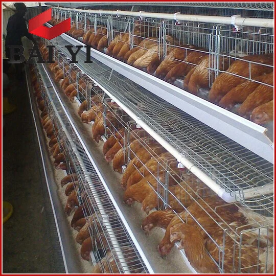 Automatic chicken farm battery cages laying hens for poultry equipment