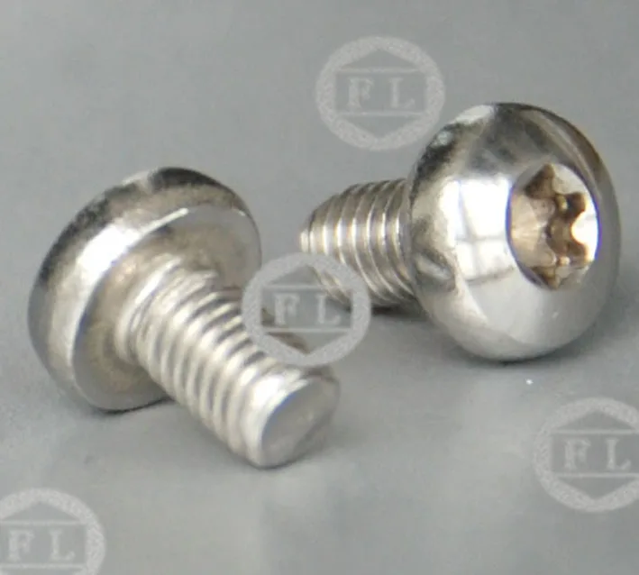 SS304/316 pan head torx screws