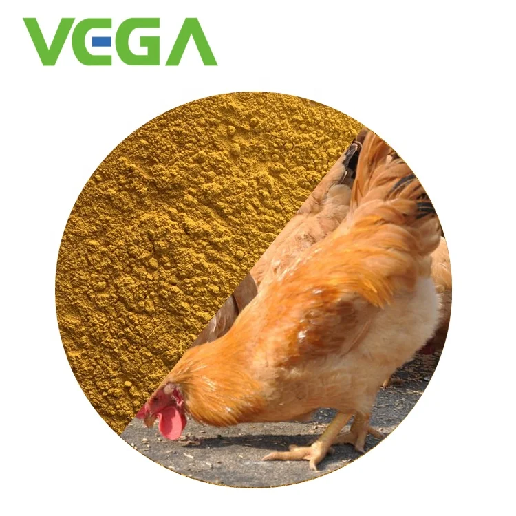 
VEGA Express MSG Protein/Single Cell Protein Powder Made in China &nbsp;