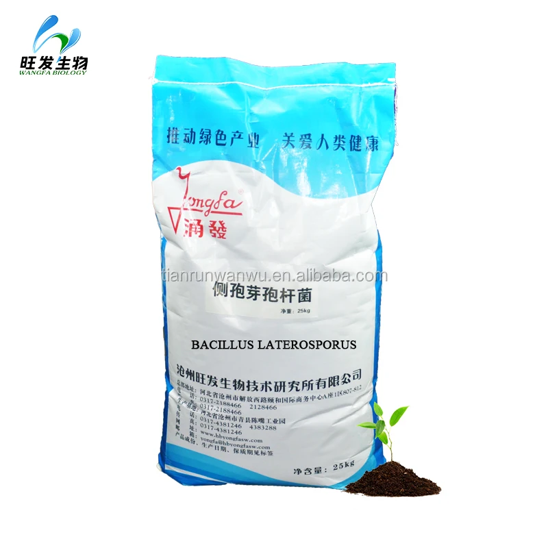 Bacillus laterosporus