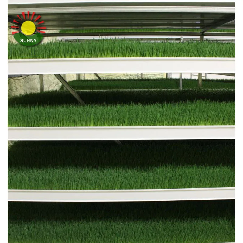 Прямая поставка с завода коммерческая гидропонная кормовая система