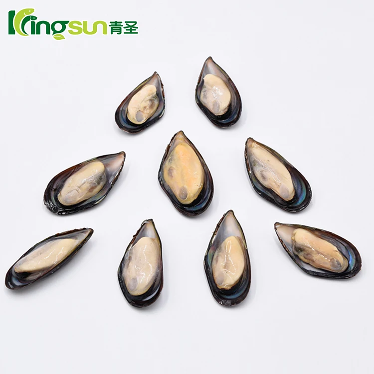 Frozen half shell mussel